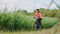 biking, résidence ile maurice, location appartements longue durée