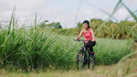 Biking, résidence ile maurice, location appartements longue durée